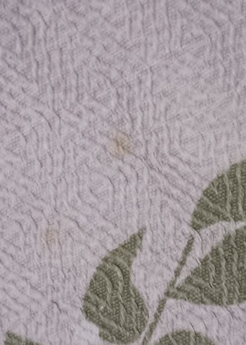 Pastel Gri Çiçek Desenli pike - Görsel 3