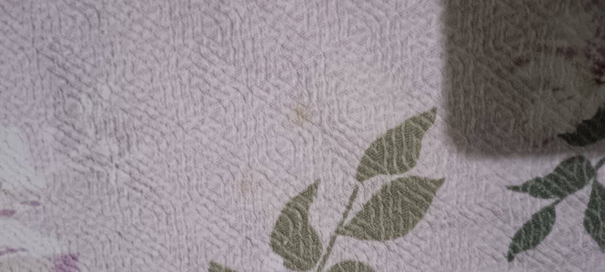 Pastel Gri Çiçek Desenli pike - Görsel 3