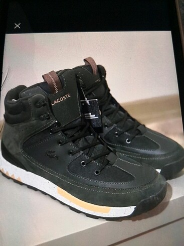 Lacoste haki bot