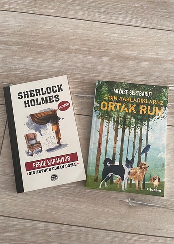 Sherlock Holmes ve Ortak Ruh Kitapları