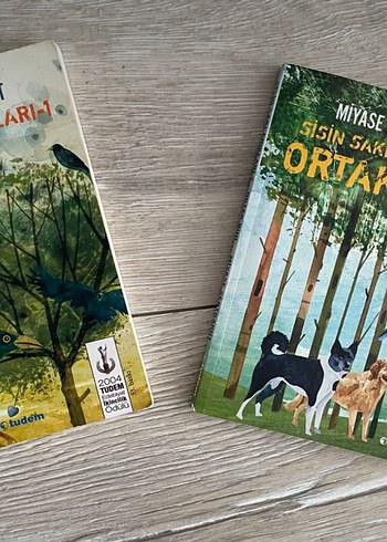 Sisin Sakladıkları-1 - Miyase Sertbarut