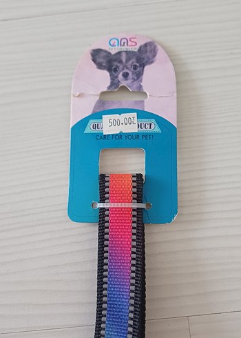 Renkli Köpek Tasması - Görsel 2