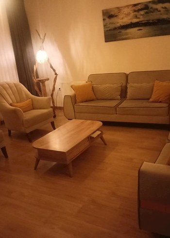 Beden gri Renk Bej Desenli Modern Koltuk