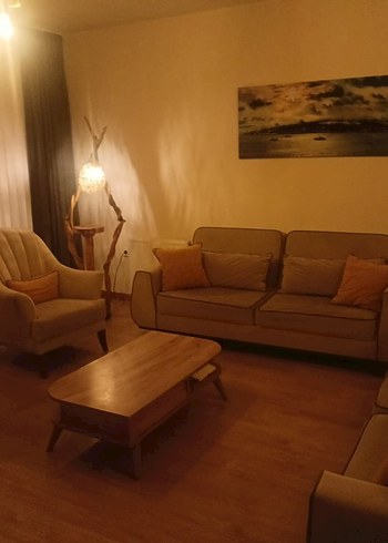 Diğer Bej Desenli Modern Koltuk