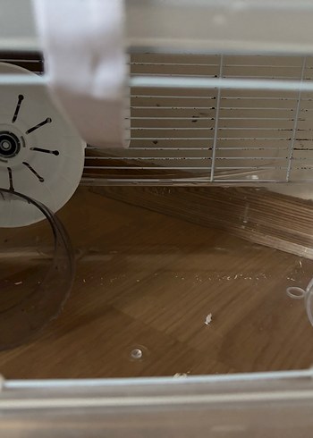 Büyük Beyaz Üç Katlı Hamster Hayvan Kafesi - Görsel 2