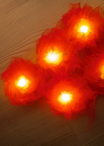 Kına Malzemeleri - Görsel 5