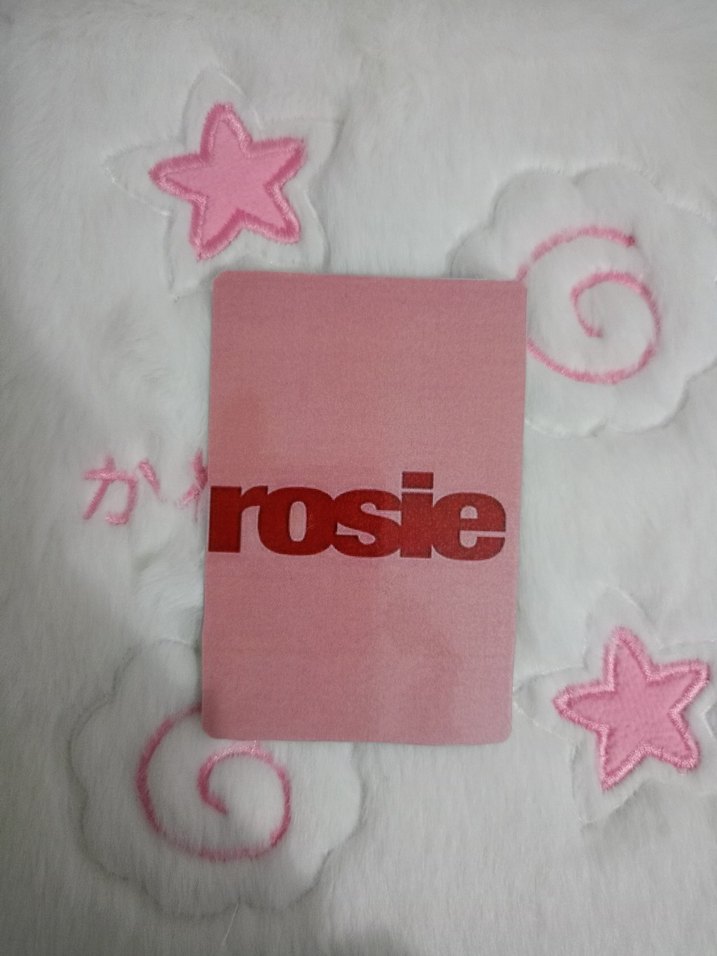 Rose Pc
1 adet (Fanmade) - Görsel 2