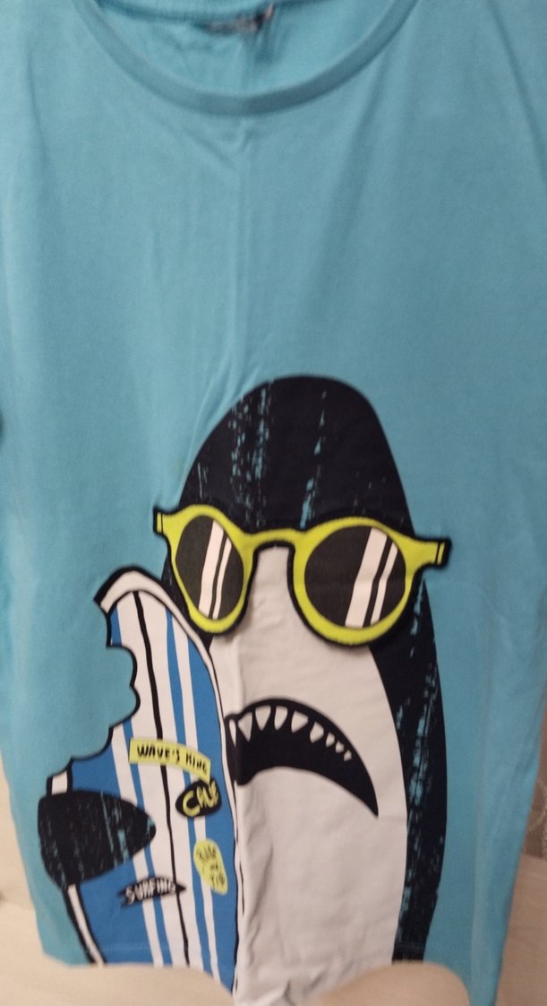 Erkek Çocuk Mavi Baskılı Tişört - Görsel 4