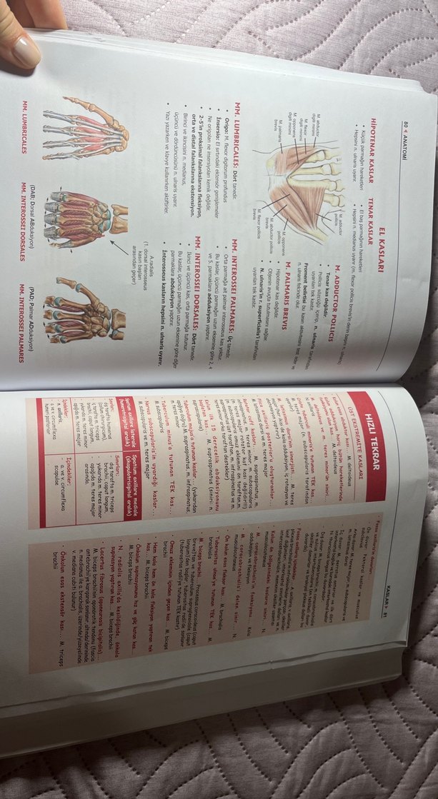 Anatomi Modül Sınavlarına Özel Kitap - Görsel 4
