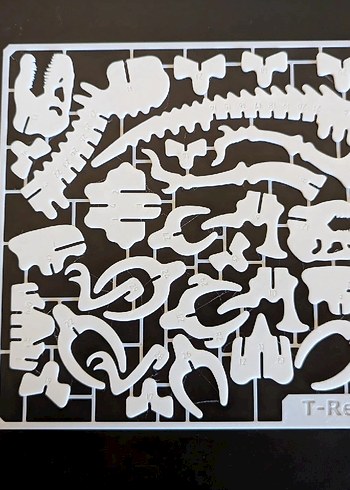 T-Rex İskelet Figür Oyuncak - Görsel 2