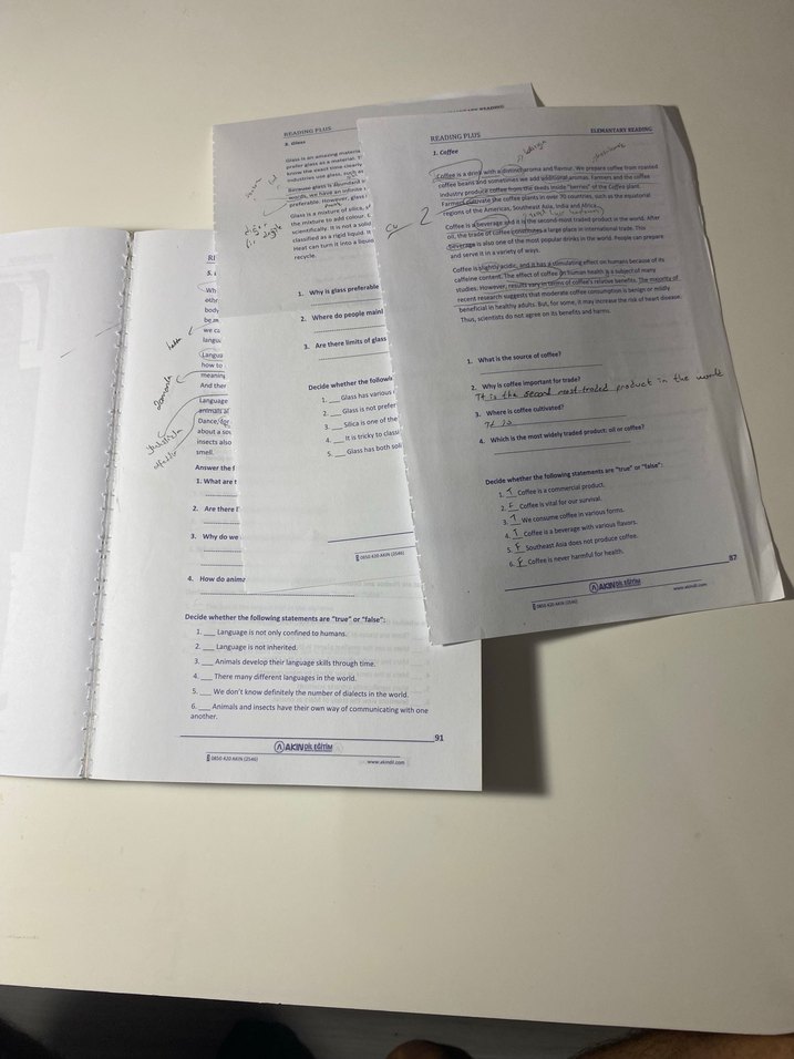 Reading Plus - Görsel 2