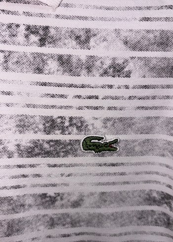 Erkek Gri Çizgili Polo Tişört - Görsel 3