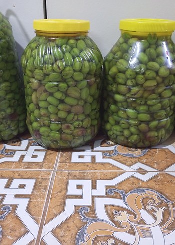 Beden Yeni mahsül yeşil zeytin