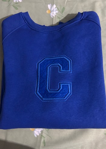 Mavi Nakışlı Kadın Sweatshirt