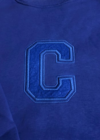 l Beden mavi Renk Mavi Nakışlı Kadın Sweatshirt