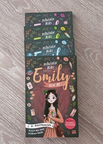 Beden Renk Emily Mavinin Kızı 4'lü kitap seti