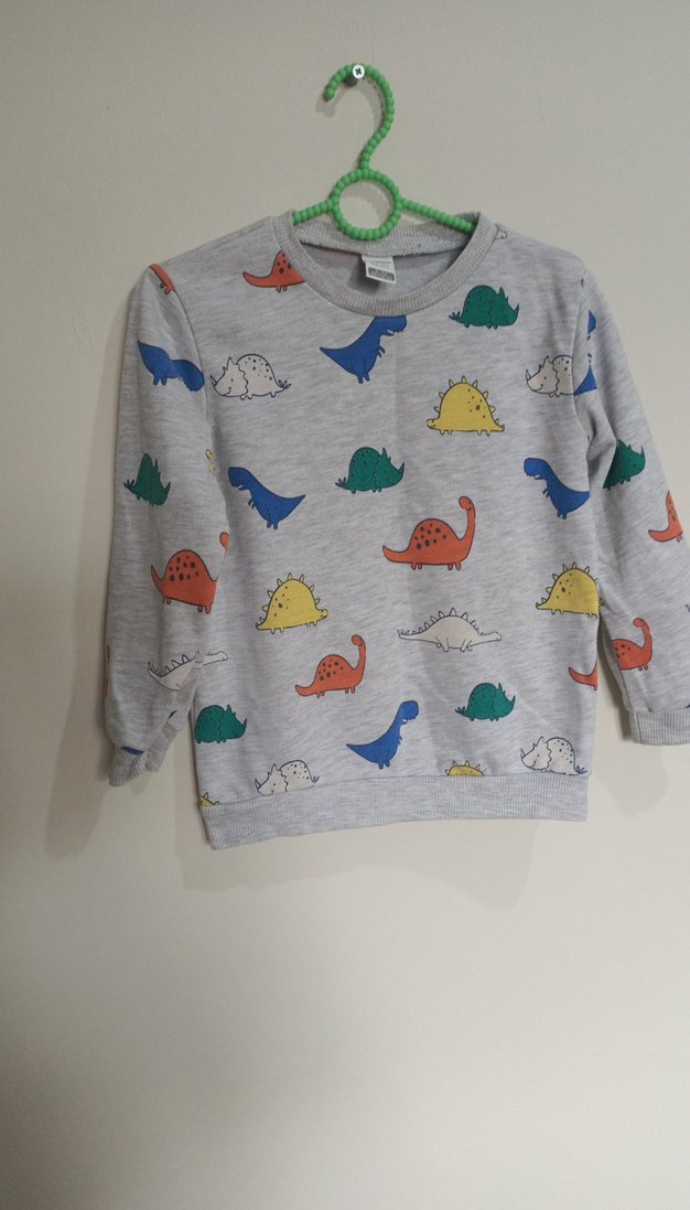 Gri Baskılı Erkek Çocuk Sweatshirt - Görsel 3