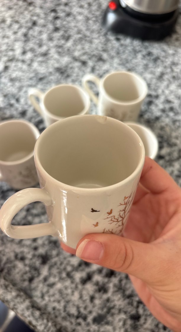 Beyaz Ağaç Desenli Seramik Fincan Seti - Görsel 4