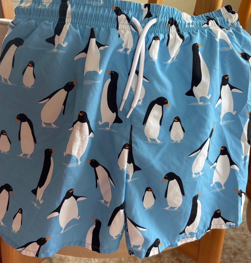 Renkli Baskılı Erkek çocuk Deniz Şortu - Görsel 3