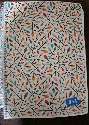4+1 spiralli ayraçlı 150 yaprak defter 2 adet
