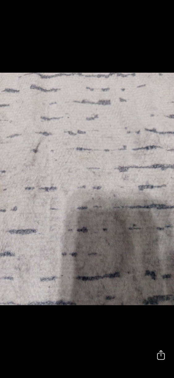 Gri Beyaz Desenli Klasik Halı - Görsel 5