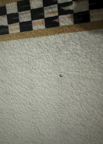 Modern Klasik Beyaz Gri Mutfak Halısı - Görsel 4