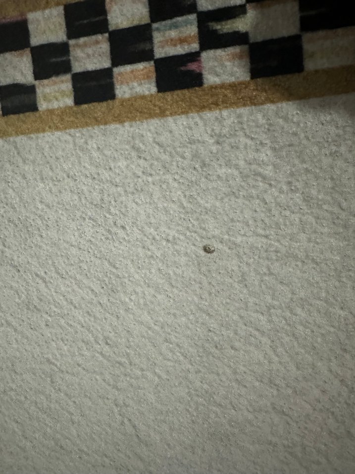 Modern Klasik Beyaz Gri Mutfak Halısı - Görsel 4