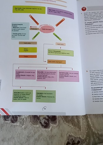  Beden TYT Felsefe Soru Bankası Bilgi Sarmal