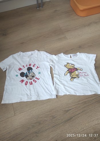 Walt Disney World 12-18 Ay