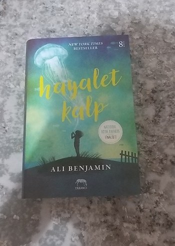 Hayalet Kalp - Ali Benjamin Kitabı