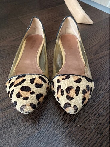 Mudo Leopar Babet