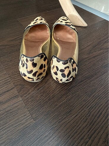 36 Beden Leopar Babet