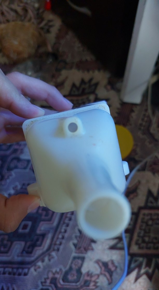 biolife kuluckalık - Görsel 2