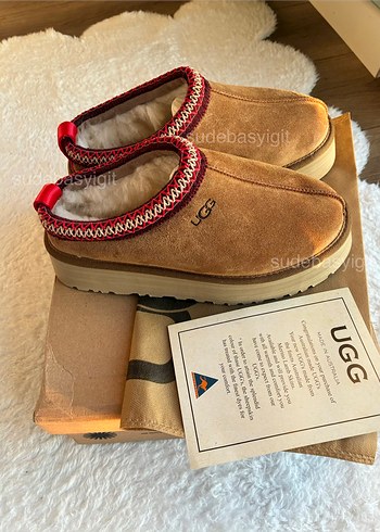 Ugg Terlik