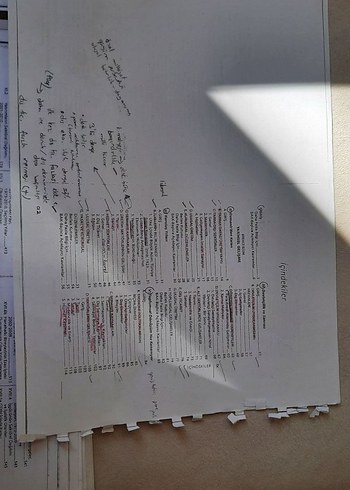 Türkiye Ekonomisi Kitabı - Prof. Dr. Yakup Kepenek - Görsel 5