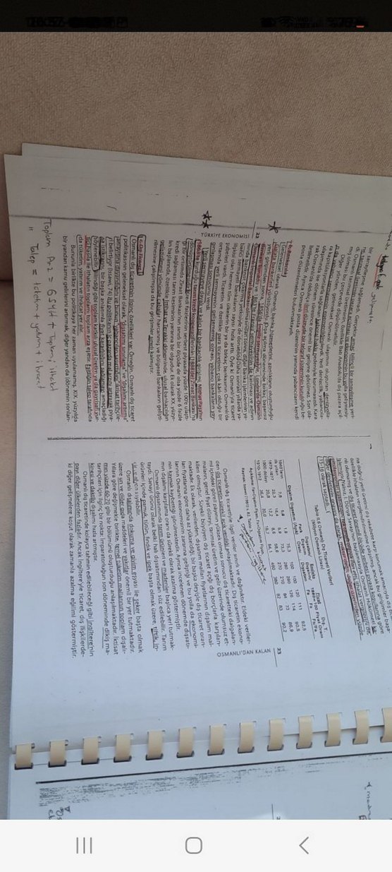 Türkiye Ekonomisi Kitabı - Prof. Dr. Yakup Kepenek - Görsel 4