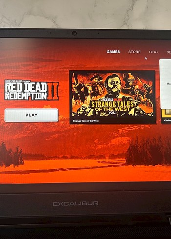 RDR2 ve GTA5 Rockstar Hesabı