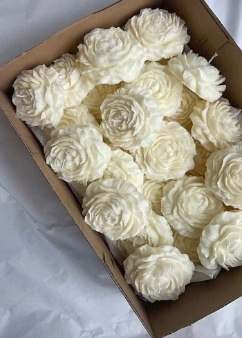 Beden Pastel Renklerde Gül Şeklinde Mumlar