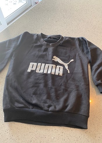 Puma Erkek Çocuk Gri Sweatshirt