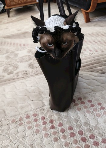 Kedi şapkası - Görsel 4