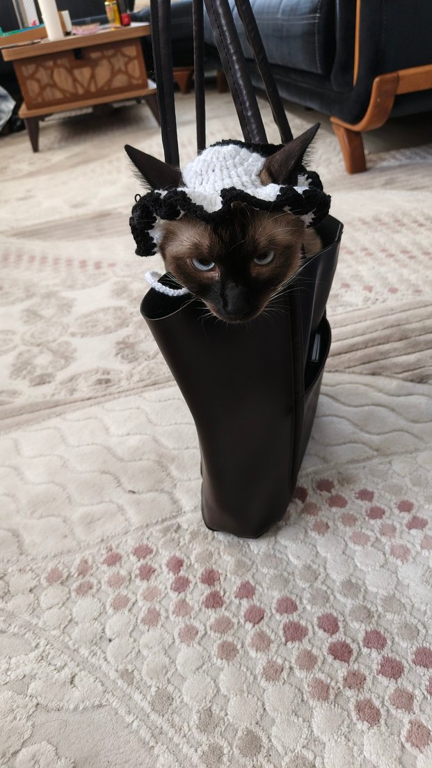 Kedi şapkası - Görsel 4