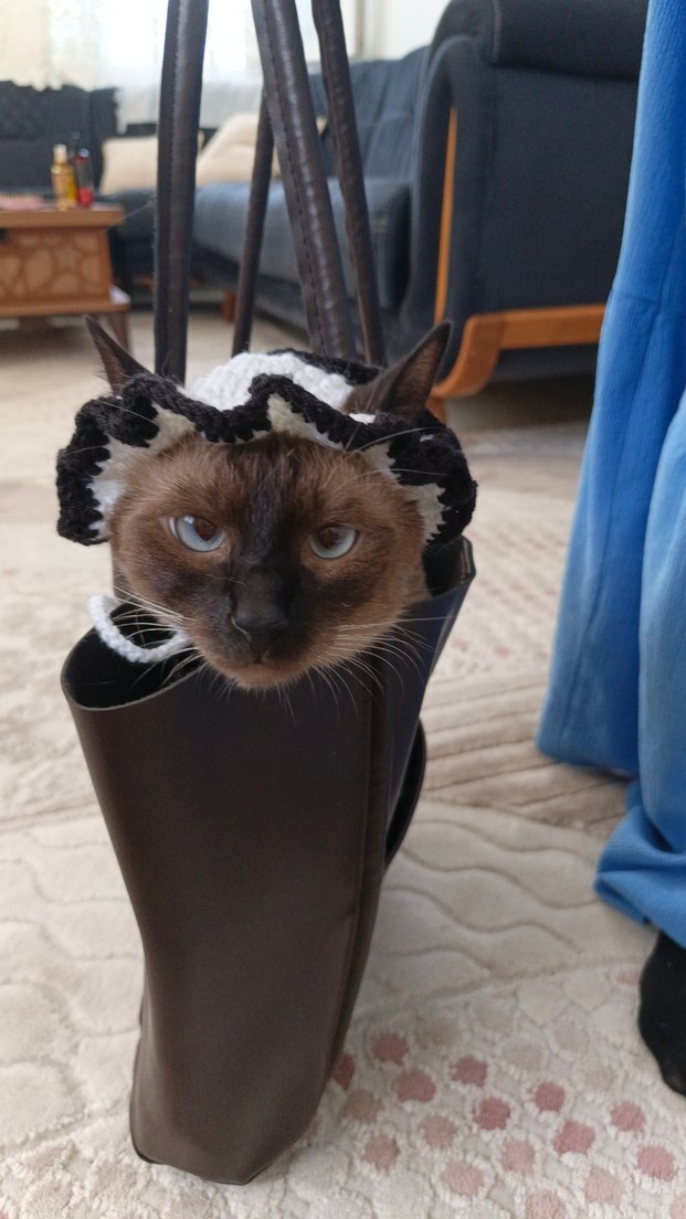 Kedi şapkası - Görsel 2