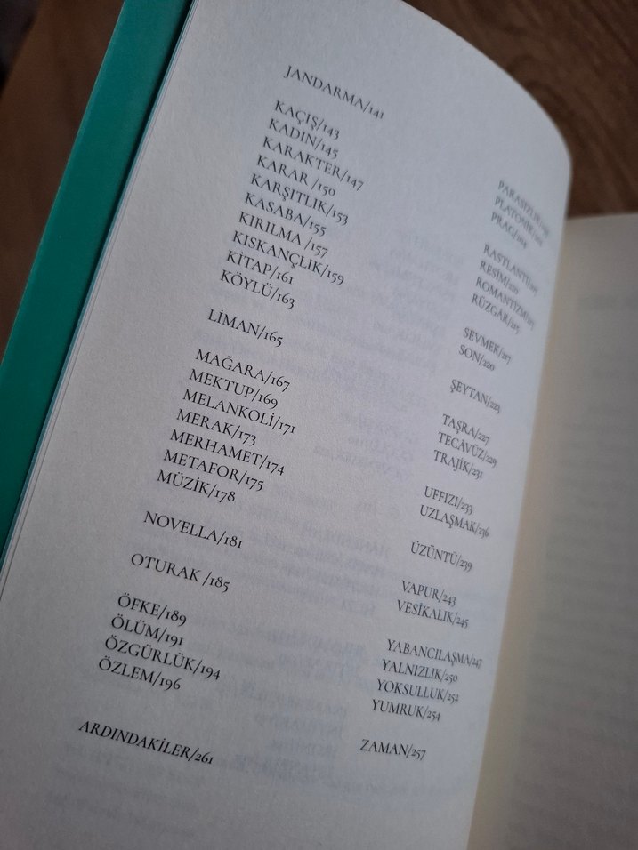 Sabahattin Ali'nin Yapıtlarını Sevme Sözlüğü - Görsel 3