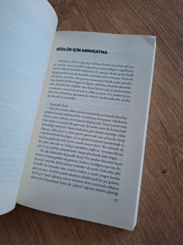 Sabahattin Ali'nin Yapıtlarını Sevme Sözlüğü - Görsel 4
