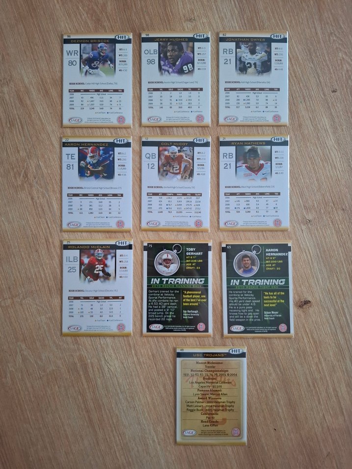 Amerikan Futbolu 2010 koleksiyon kartları (10 adet) - Görsel 3