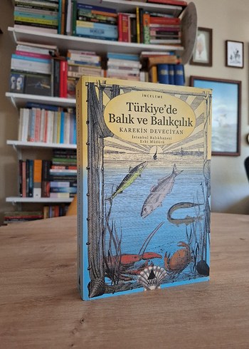 Beden Renk Deniz temalı 3 kitap