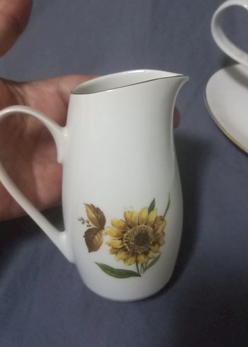 Diğer Desenli Porselen Sosluk Seti