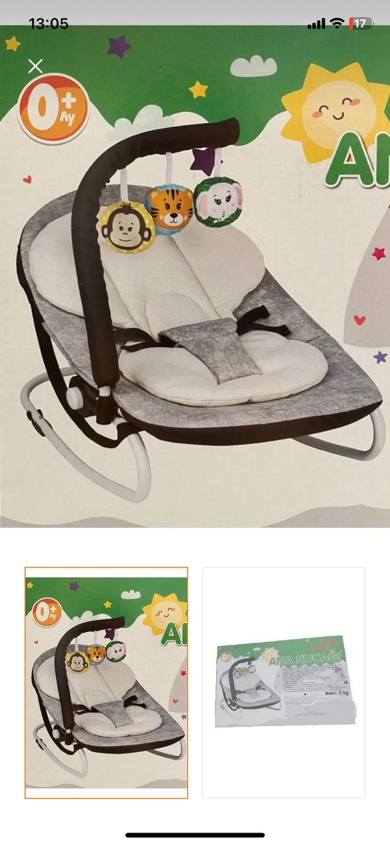 Gri Bebek Ana Kucağı - Görsel 2