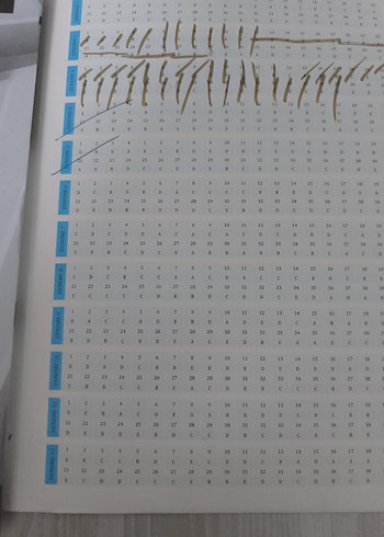 Beden Renk Orijinal tyt matematik 12li branş deneme