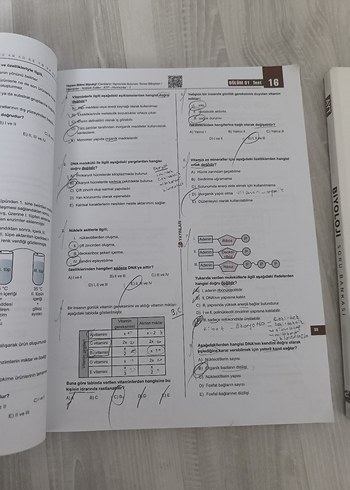 Beden Renk 3D TYT ve AYT Biyoloji Soru Bankası